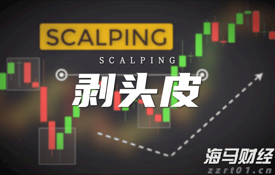 张家口市组织排球项目骨干裁判员参与联赛执裁