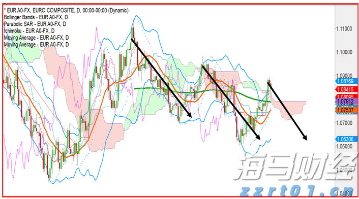 市委政法委召开全体会议暨委员述职会议