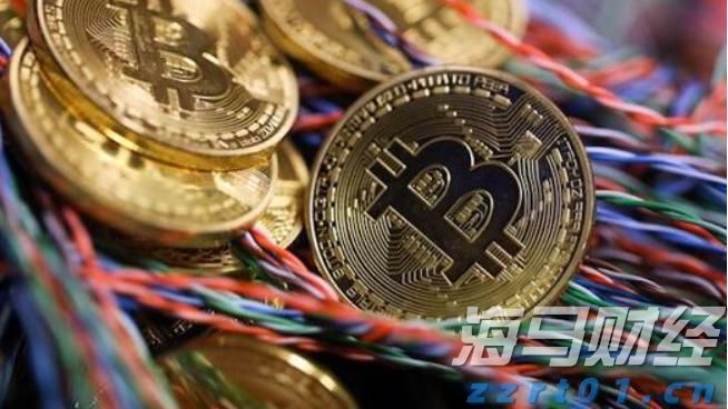 平南县举办健康跑活动